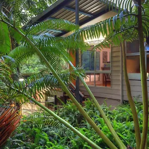  Lodge Chambers Wildlife Rainforest Australië